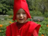 Kabouters wijzen de weg (JPEG afbeelding; 62KB