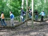 Herfstexcursie (JPEG afbeelding; 278KB