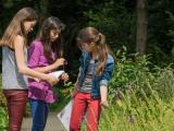 20140523Plantjes3meiden7798.jpg (JPEG afbeelding; 1,78MB