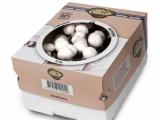 champignons.jpg (JPEG afbeelding; 68KB